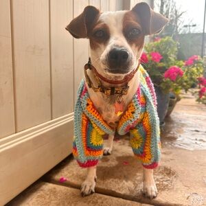 Crocheted dog  jacket